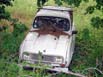 Renault 4 grise dans la nature.